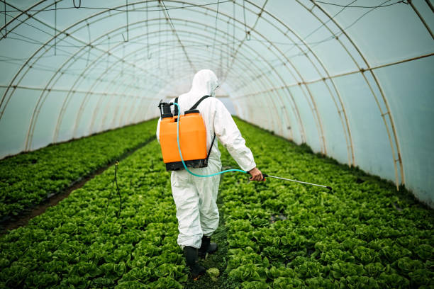 Best Best Pest Control Companies  in Pine City, MN