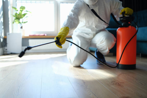 Pest Prevention Services in Pine City, MN