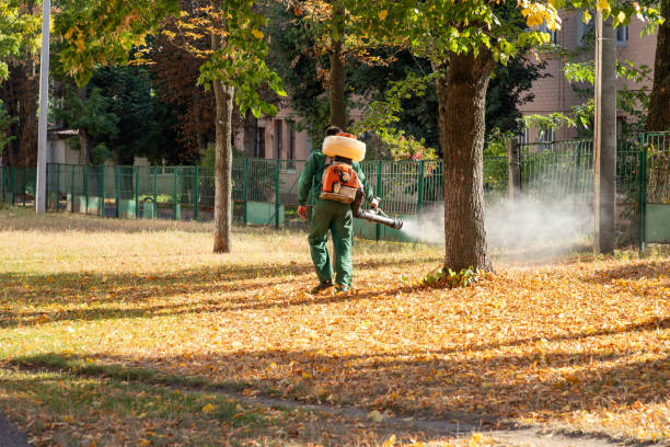 Best Commercial Pest Control Services  in Pine City, MN